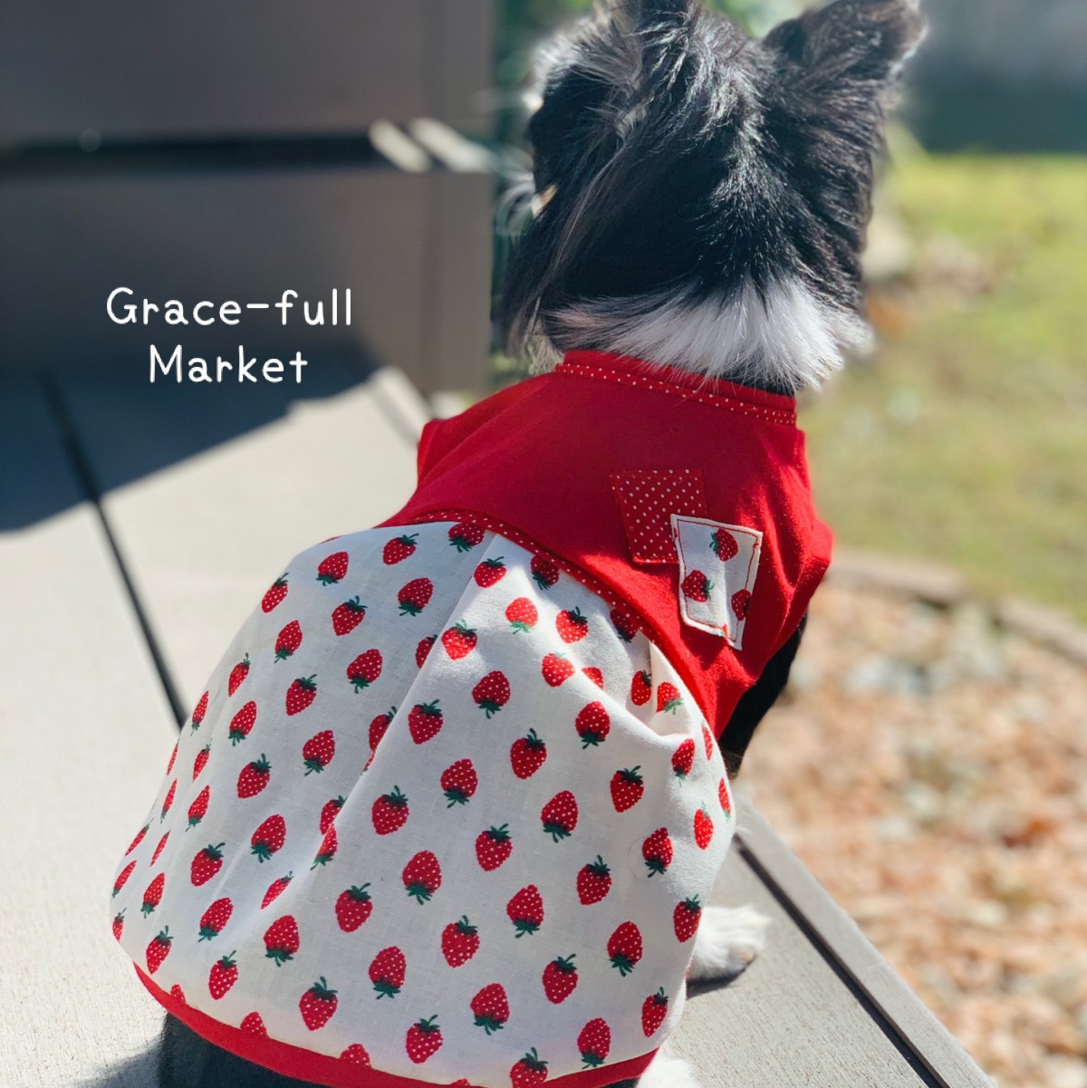 犬服ハンドメイド 見本 【公式通販】