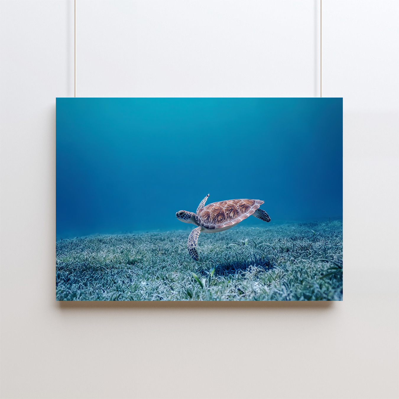 原画】ウミガメの旅立ち 原画】ウミガメの旅立ち 原画】ウミガメの