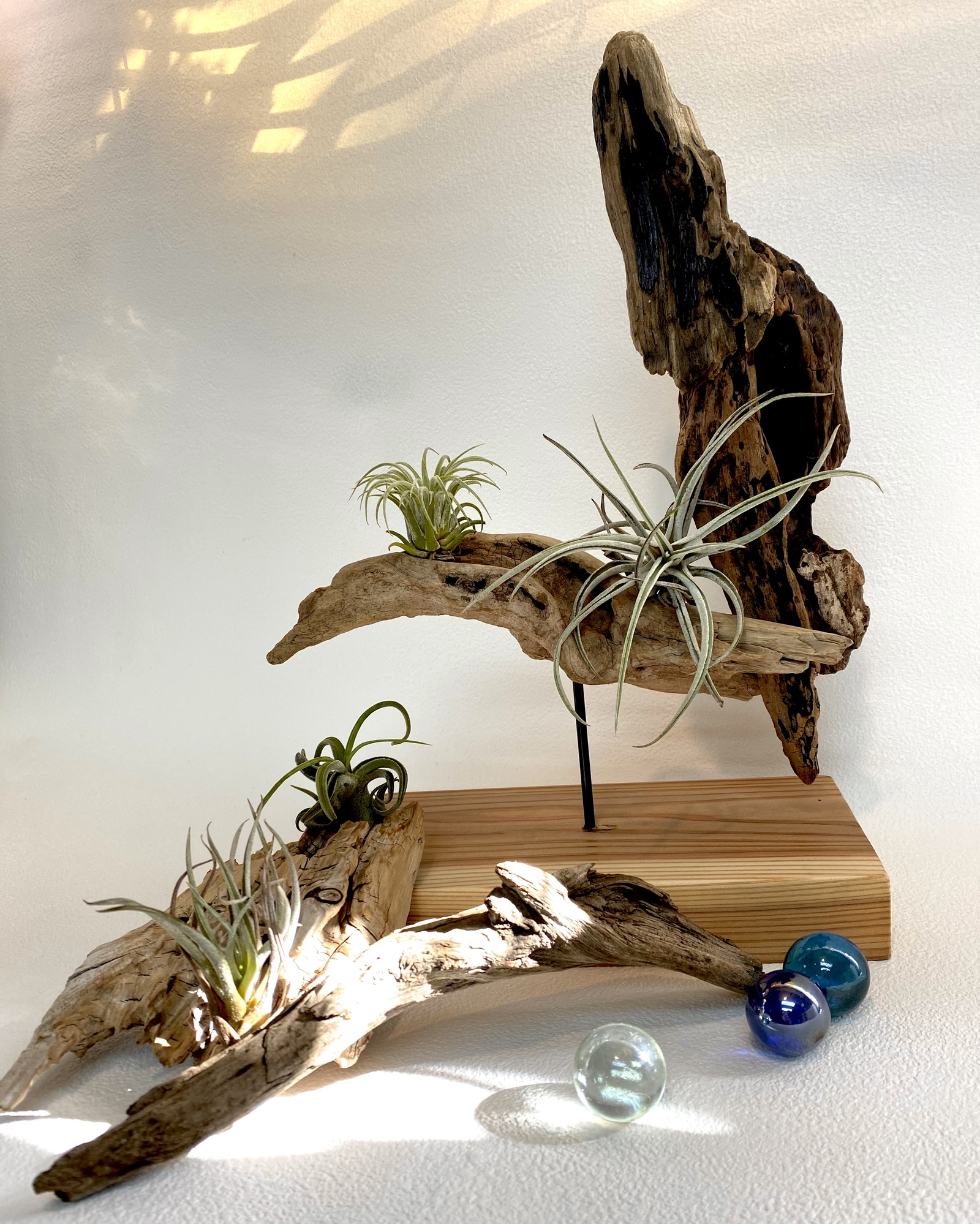 天然 流木 希少 アート 人気急上昇 一点物 レア 希少 流木 貴重 水槽