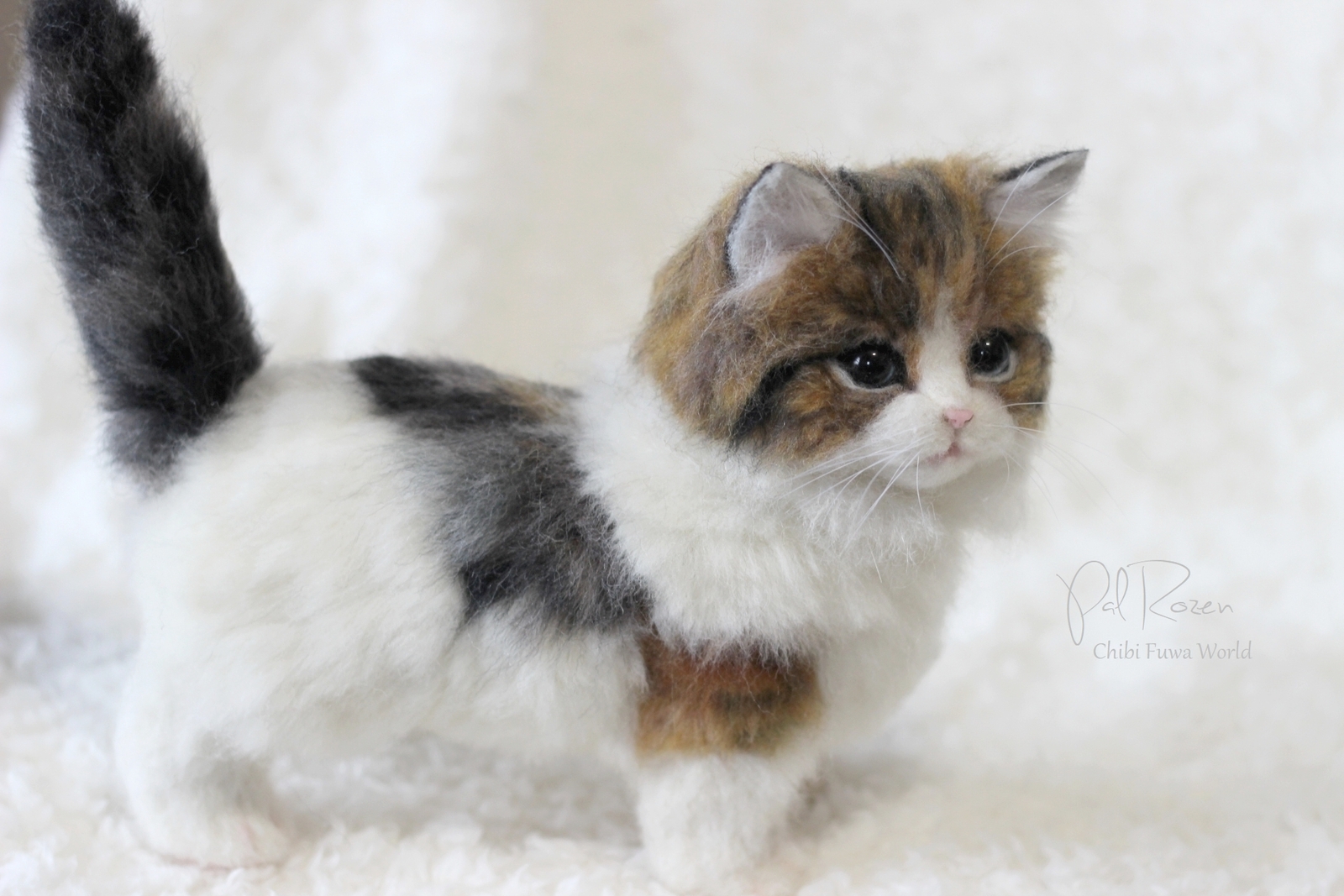 羊毛フェルト作品】ミヌエット子猫 - Pal Rozen ** 羊毛フェルト制作