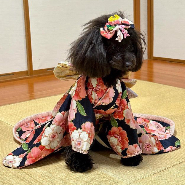 フルオーダー犬着物♡2wayタイプお引きずりU^ェ^Uお正月桃の節句七五三