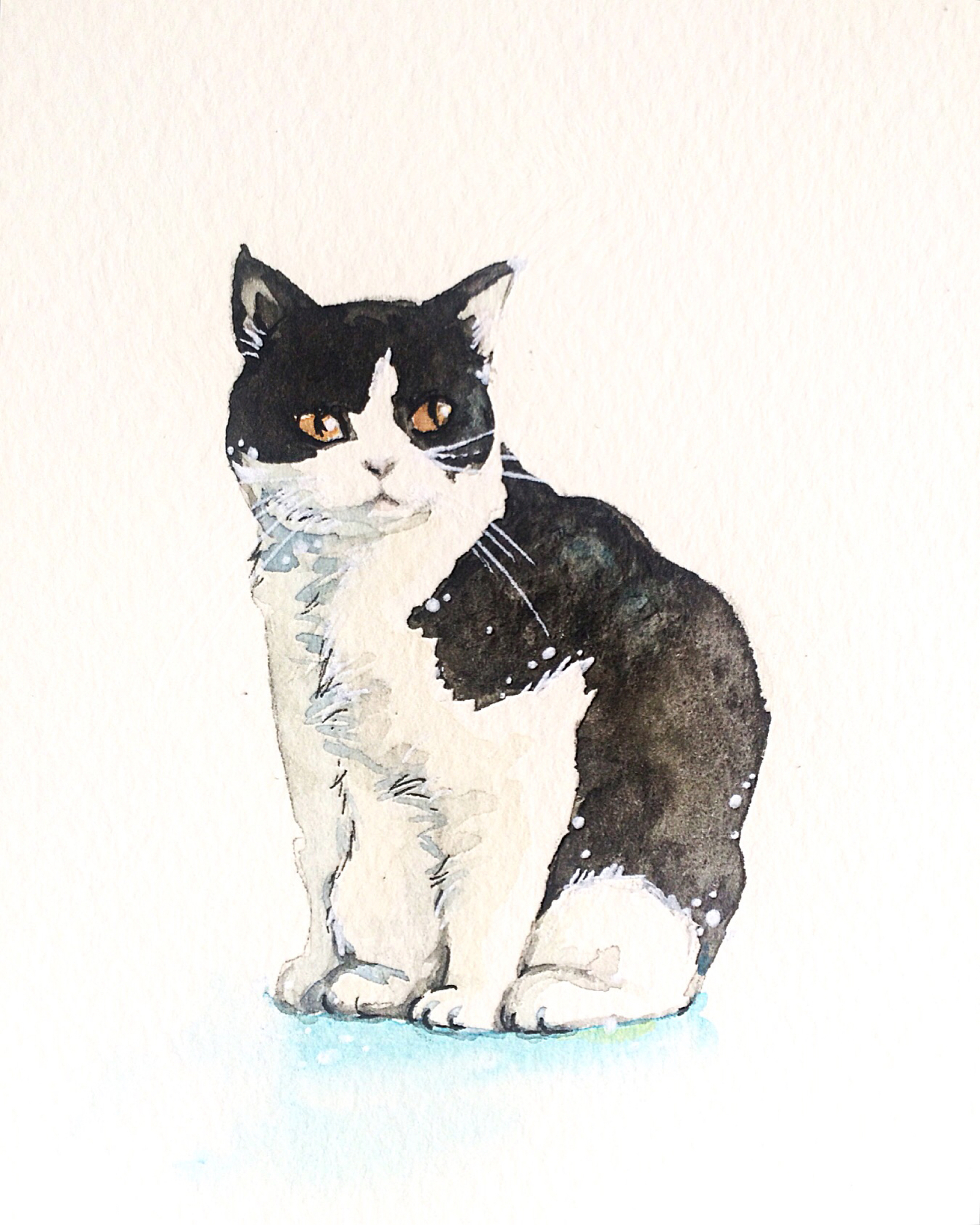 猫の水彩画 猫 原画 #166 原画＊白黒猫の水彩画 - MUUUUT'S GALLERY