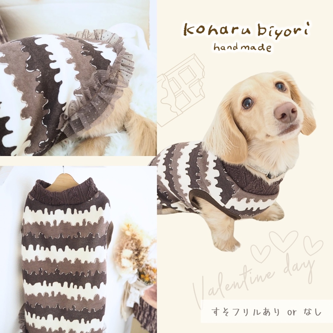 犬服 ラグラン(M) ꒡̈⃝Lily꒡̈⃝ハンドメイド 在庫処分品