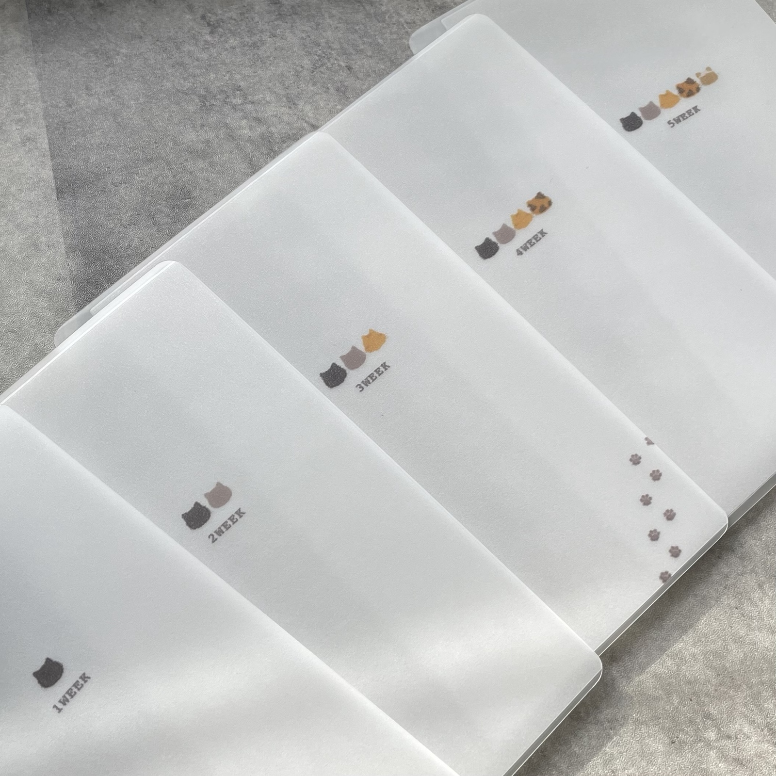 猫の日限定】A6 リフィル 5枚セット saving 貯金 韓国 お金管理