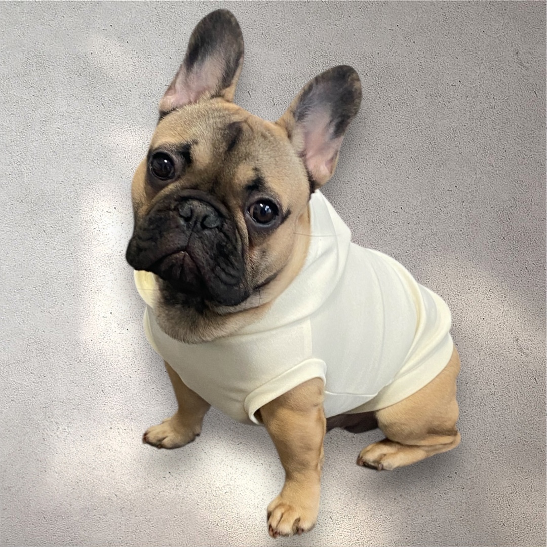 フレンチブルドッグ服の人気通販 | minne byGMOペパボ 国内最大級の