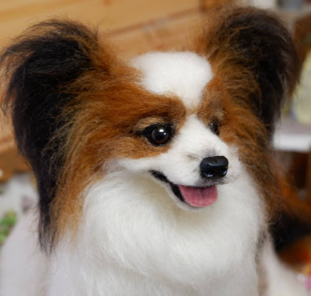 パピヨン オーダー 羊毛フェルト - YURI-FELT'S GALLERY | minne byGMO