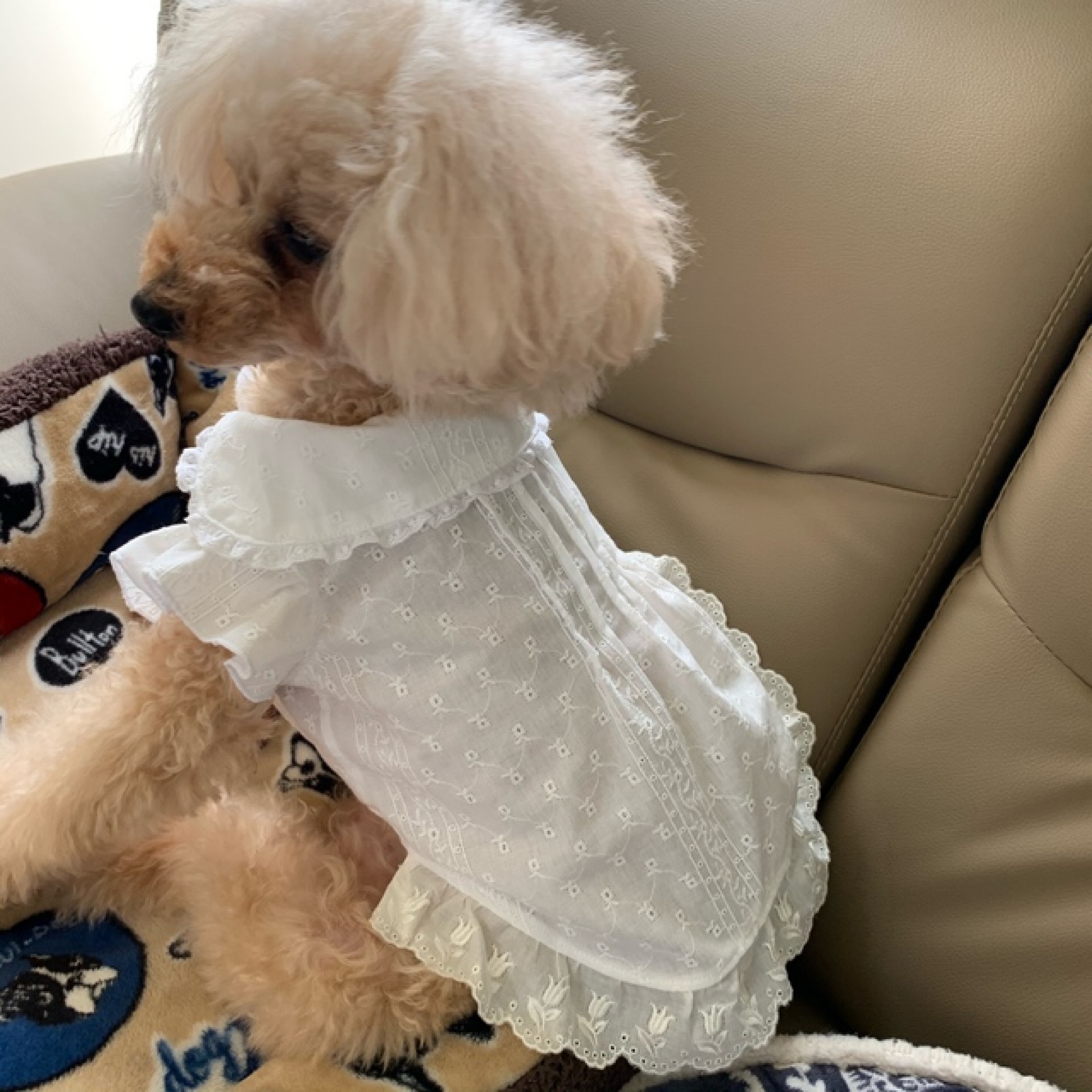 No.32 ハンドメイド犬服 ハイネックパーカーワンピース No.32