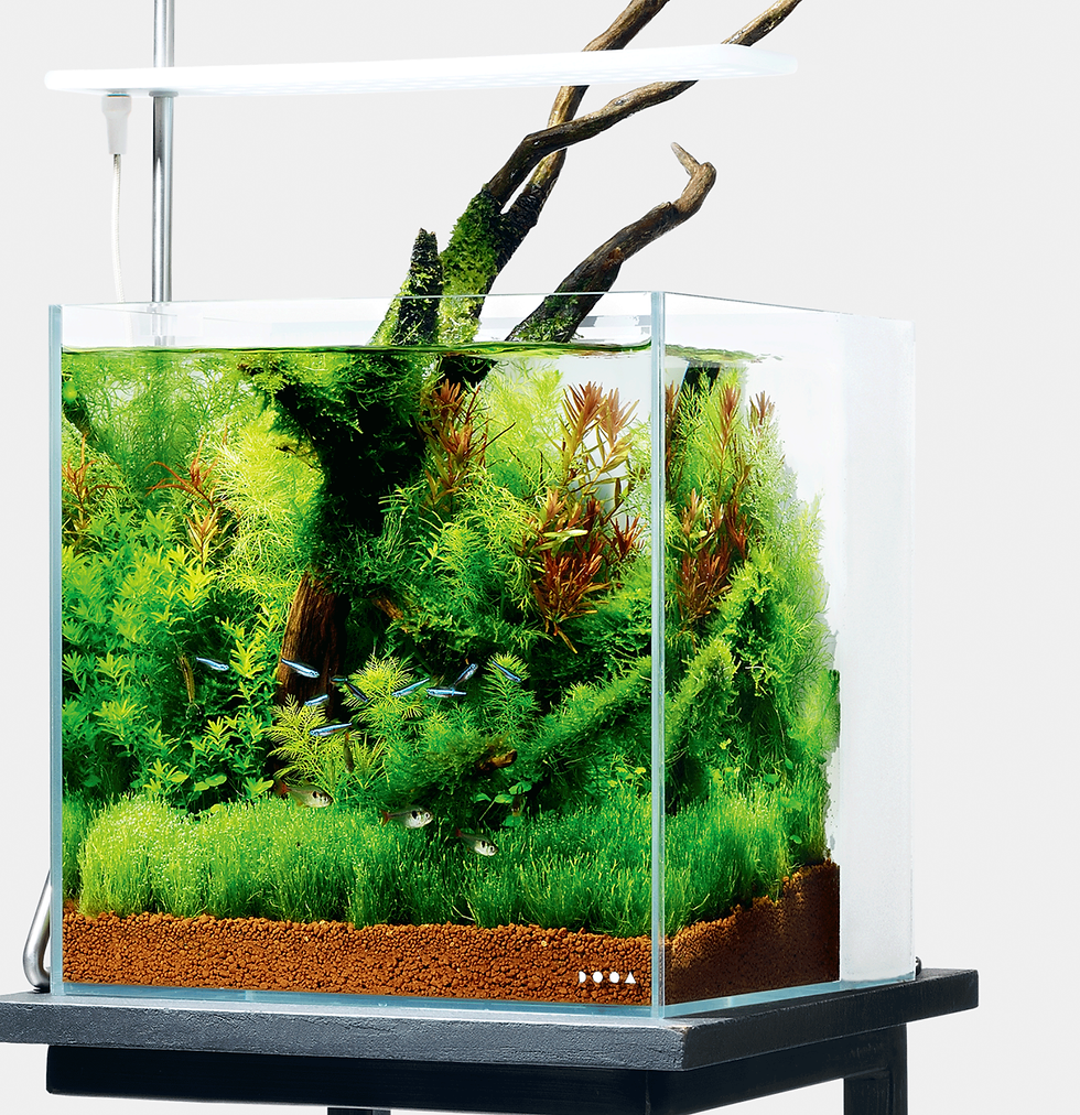 ライト・照明器具 ADA DOOA SOL STAND RGB SOL STAND RGB | PRODUCTS