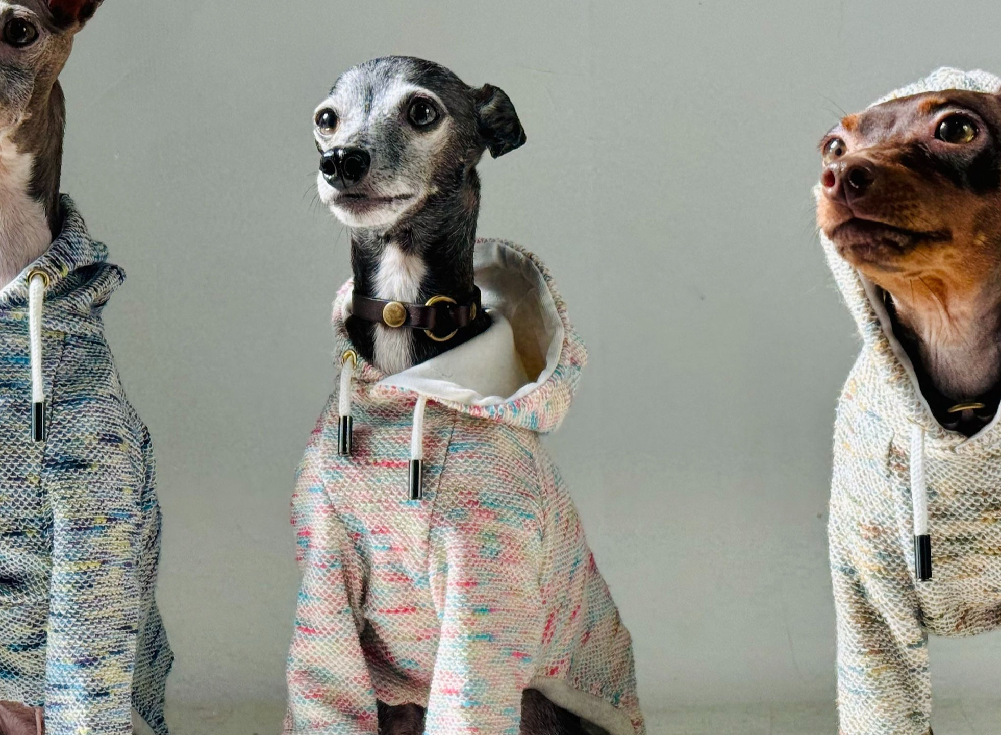 犬服ハンドメイド メッシュ 【公式通販】