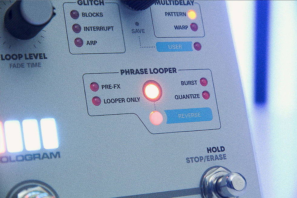 hologram microcosm グラニュラー&ループエフェクター hologram