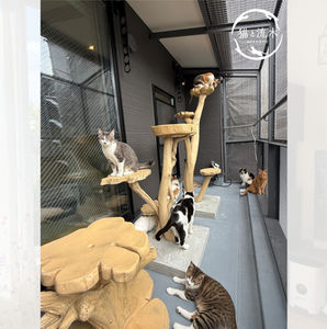 猫と流木ねこりゅうのキャットタワーは完全オーダーメイド｜キャット