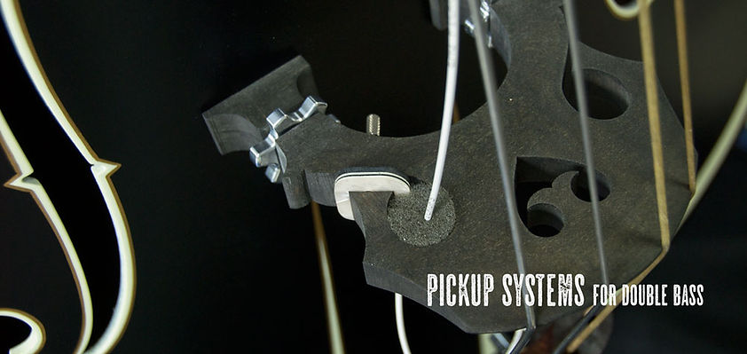 BLAST CULT Strings & Pickups