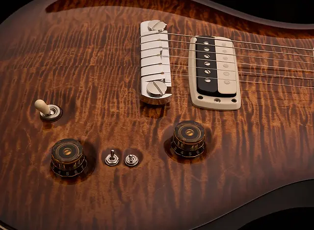 Paul's Guitar - 2024 | PRS Guitars