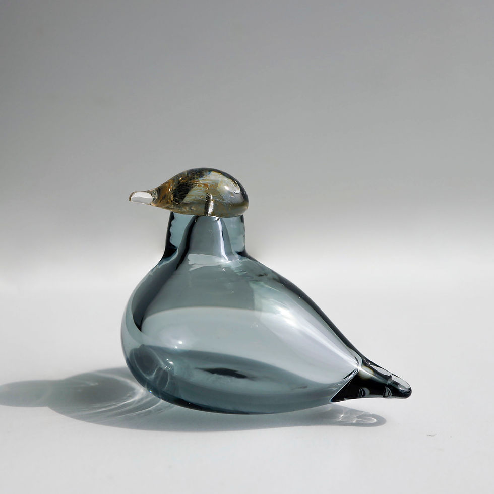 未使用 イッタラ バード 本 図録 作品集 Glass Birds OIVA 未使用