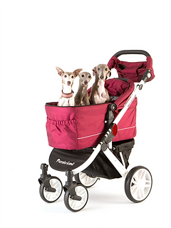 ピッコロカーネ｜卸販売｜タント｜カリーノ｜株式会社K1