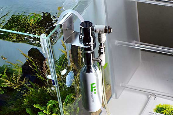 DOOA CO2システムキット登場‼