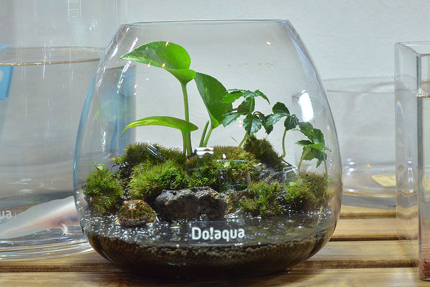 プラントグラスで遊ぶ