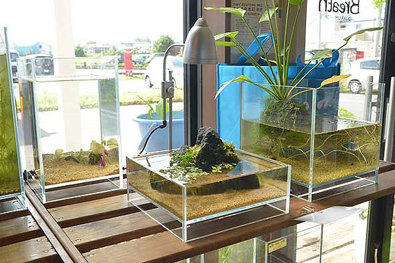 ADA DOOA ネオグラスエア 水槽 セット ADA ネオグラスエア セット NEO