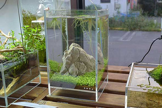 DOOA ネオグラスエア200 200 350 ガラス水槽 ADA NEO GLASS AIR