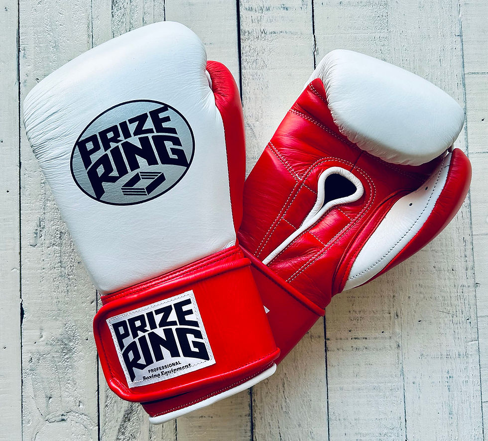 BOXING GLOVES | prizeringsports