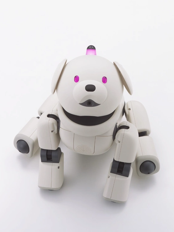 アイボ（ソニー） AIBO(SONY) ラッテERS-311 動作未確認 動作品 SONY