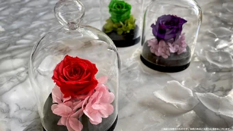 UNDEAD ROSE GARDEN | Diabolik Lovers Wiki | Fandom