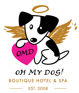 Day Care — Oh My Dog! Boutique Hotel & Spa