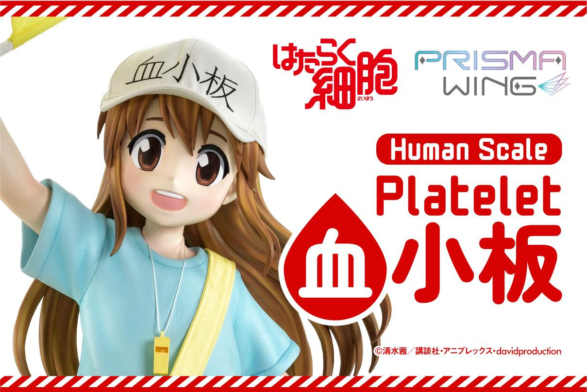 血小板 はたらく細胞 | スタチュー | プライム1スタジオ