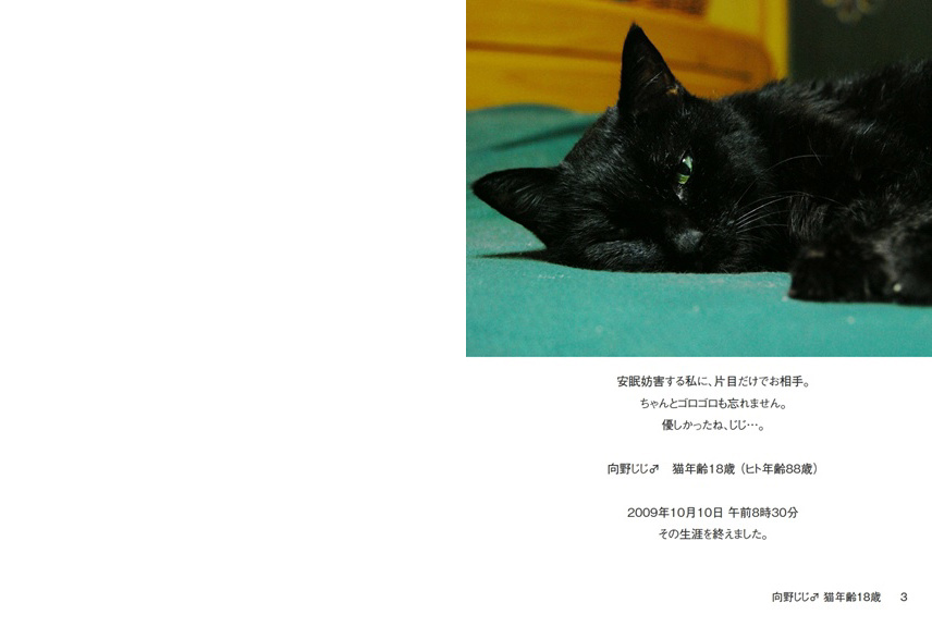黒猫Jack(プロフ必読)ページ 専用ページ 黒猫Jack(プロフ必読)様