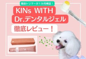 ドクターワンデル カンデル 6セット デンタルガム