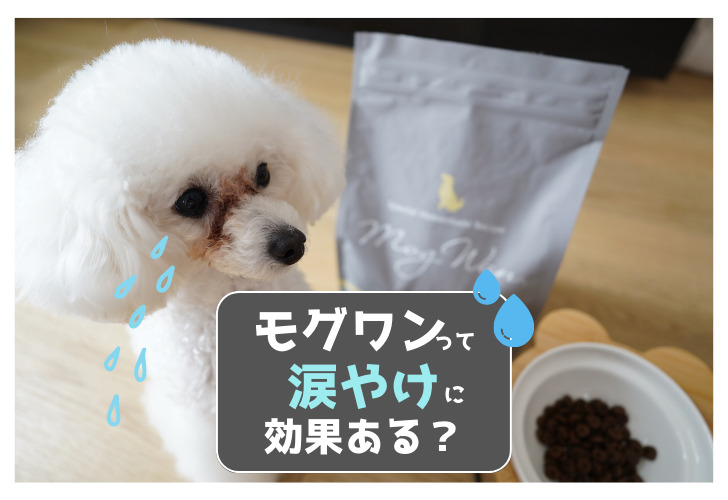 モグワンMogWan プレミアムドッグフード 1.8㎏2袋セット 犬用品 モグワン