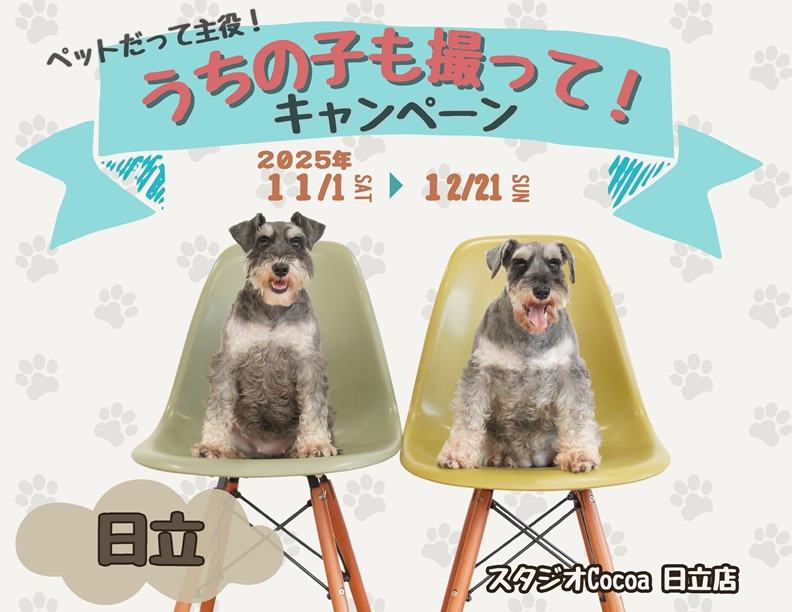 ベビースター 佐々木、髙松アクスタ＆生写真15セット キャラクター