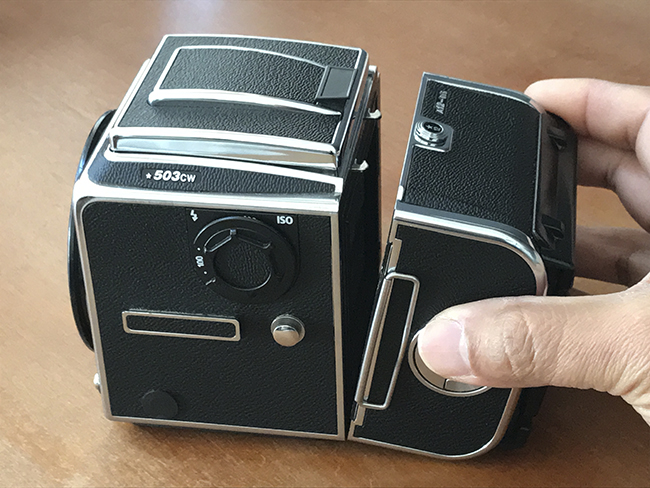 フィルムマガジン『A12』 – Studio Hishiki