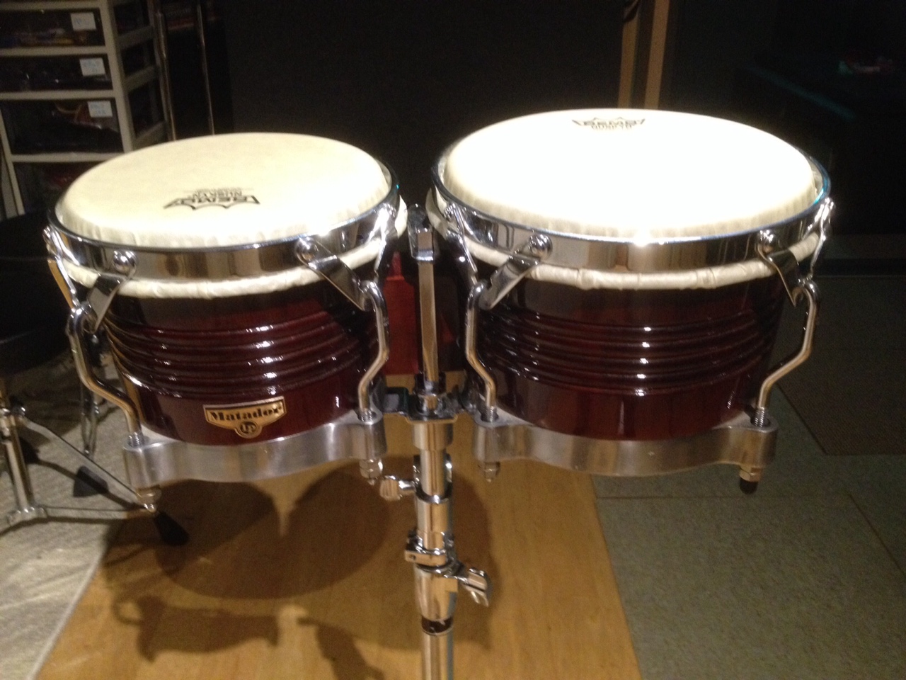 マタドール ボンゴ LP 専用ケース付き 【公式通販】