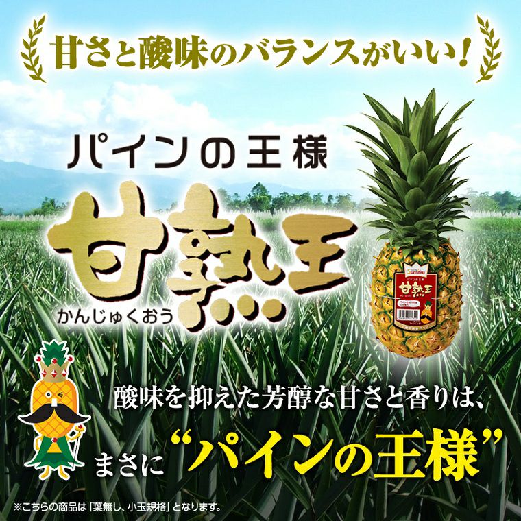 葉無し小玉 甘熟王パイン 7玉 | スミフルの美味しいマルシェ