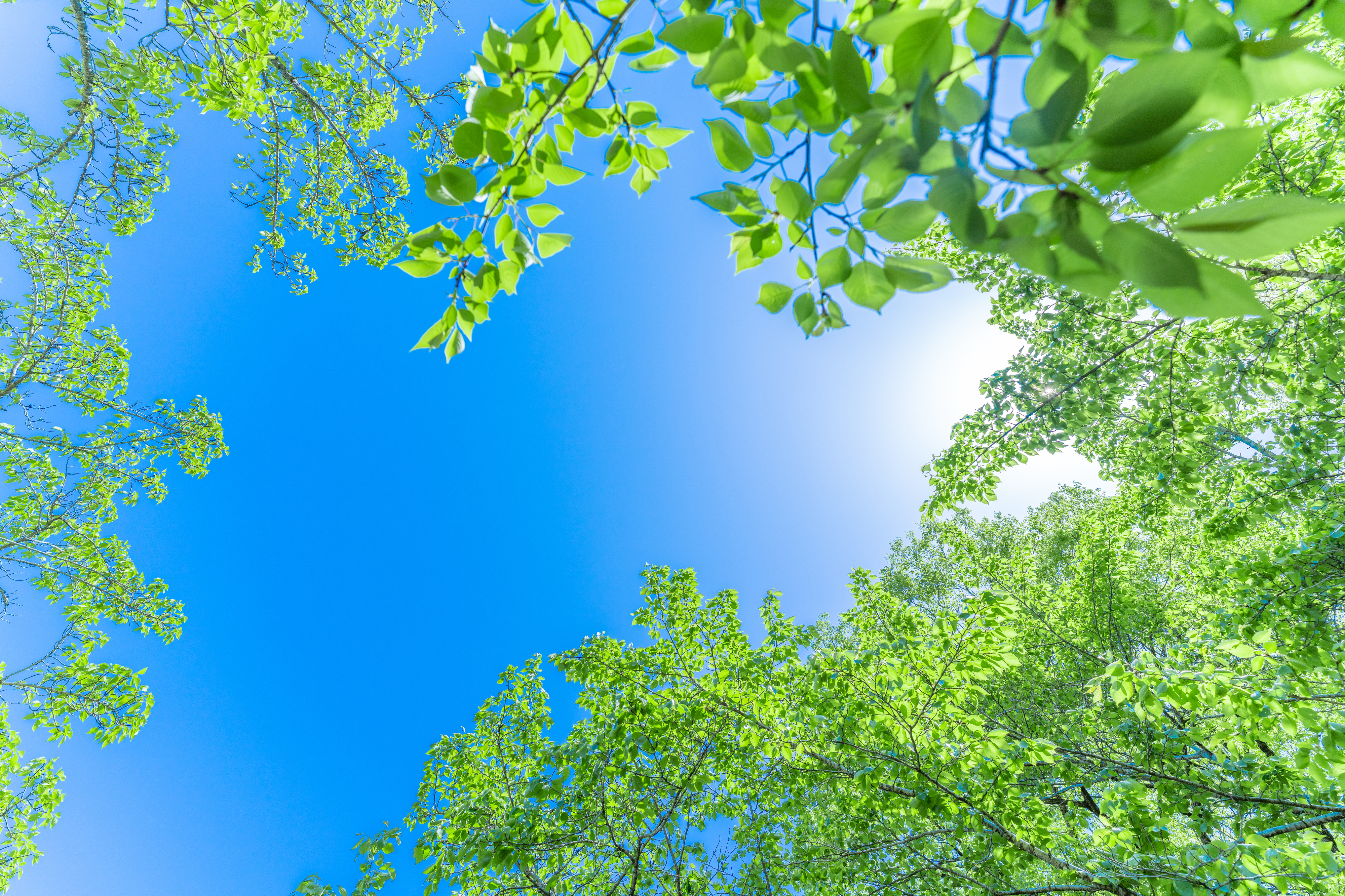 CABC-K40W｜サン電子株式会社