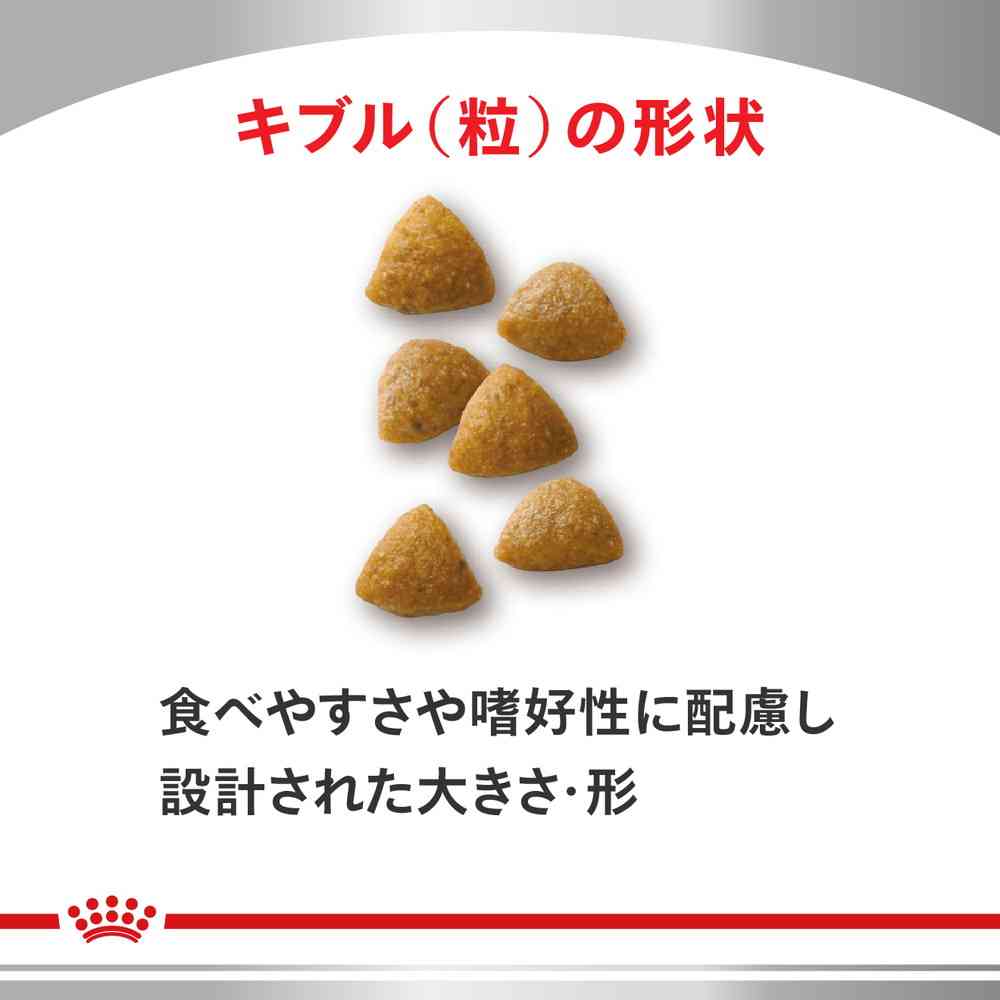 猫用 腎臓サポート スペシャル 4kgx1