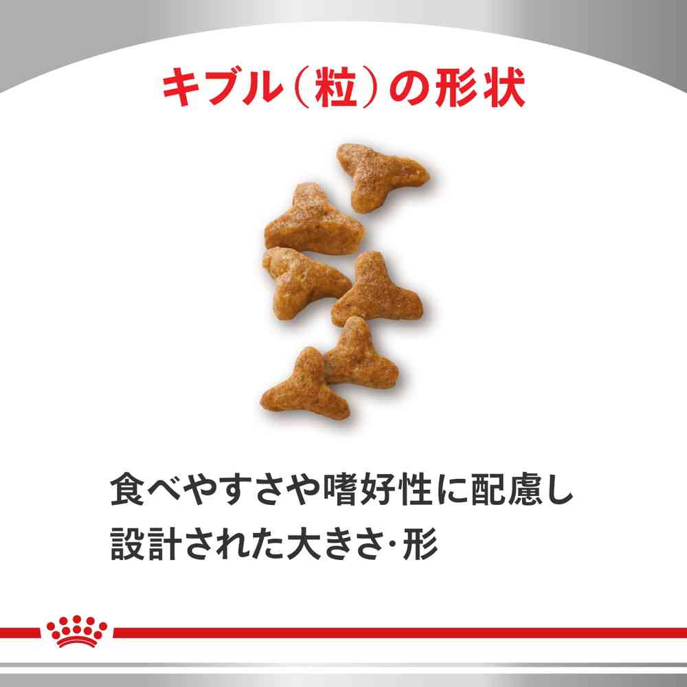 猫用 消化器サポート(可溶性繊維)4kgx1