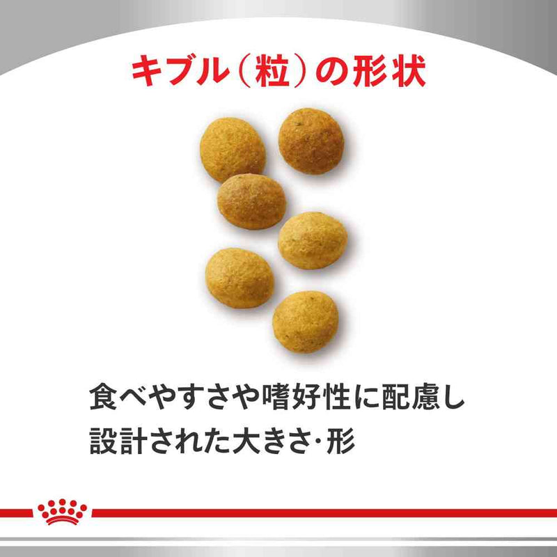 猫用 アミノペプチドフォーミュラ 500gx1