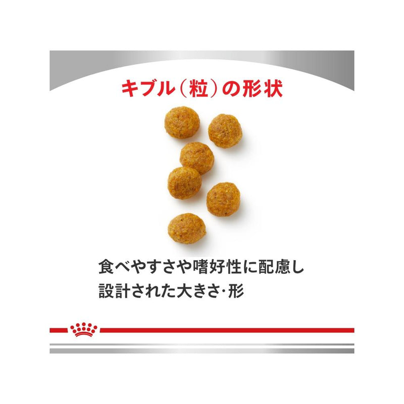 犬用 スキントピック 小型犬用 3kgx1