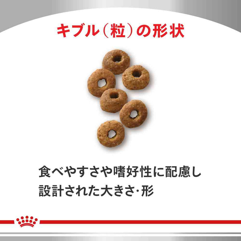 猫用 スキン＆コート 2kgx1