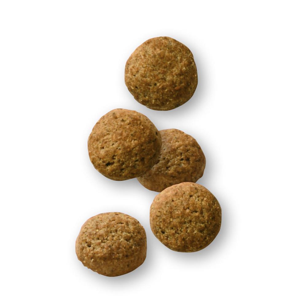 数量限定サンプル付き】犬用満腹感サポート 小型犬用 S 3kg