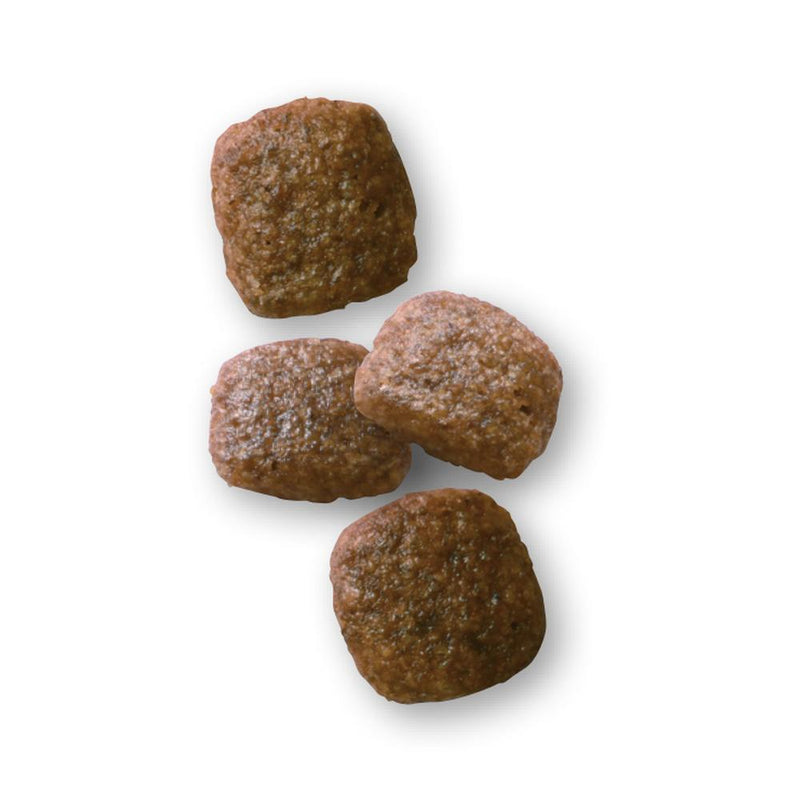 犬用 早期腎臓サポート 3kg