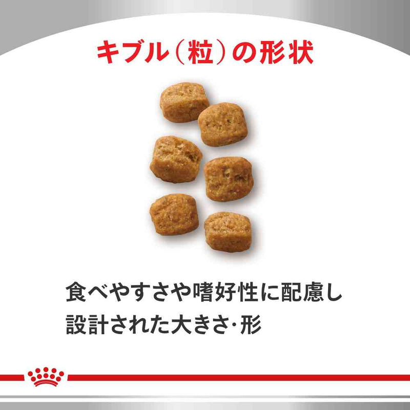 猫用 早期腎臓サポート 2kg