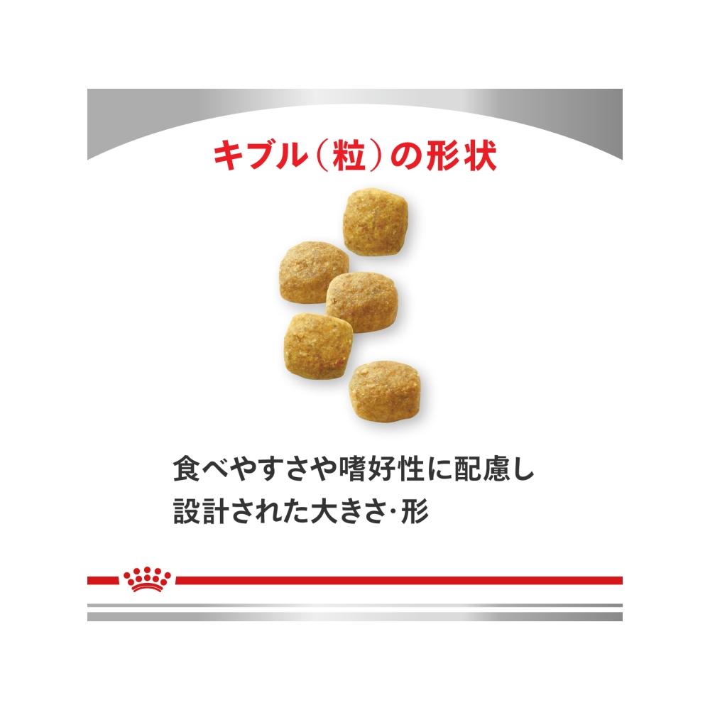 犬用 エイジングケア 8kgx1