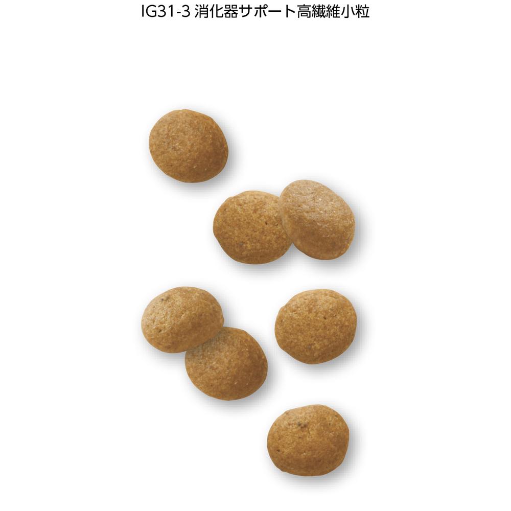 犬用 消化器サポート 高繊維 小粒 3kg
