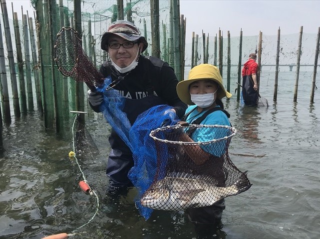 魚標本 木更津沖 昭和53年 魚標本 木更津沖 昭和53年 魚標本