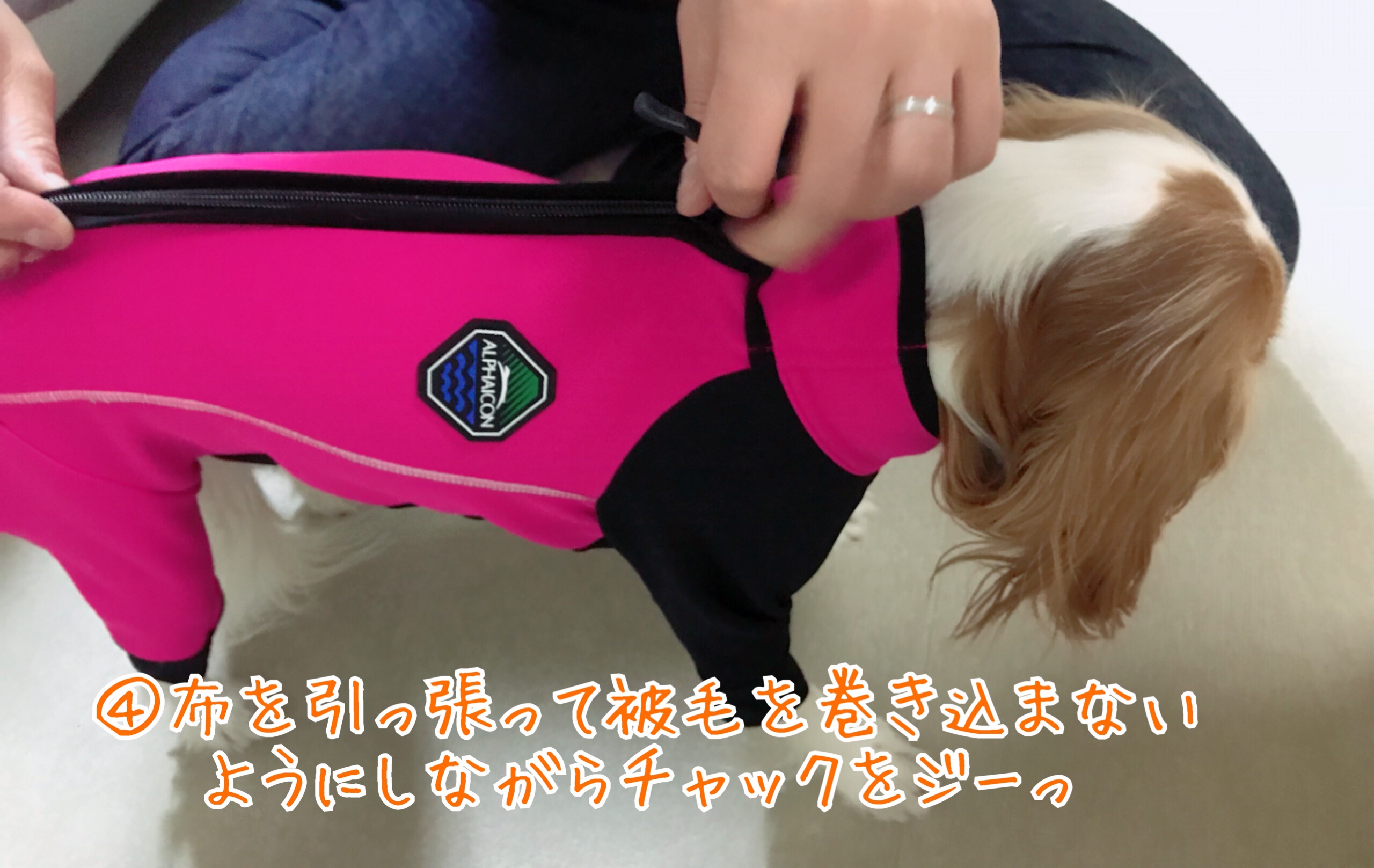 アルファアイコン ALPHAICON レインドッグガード ピンク レインコート