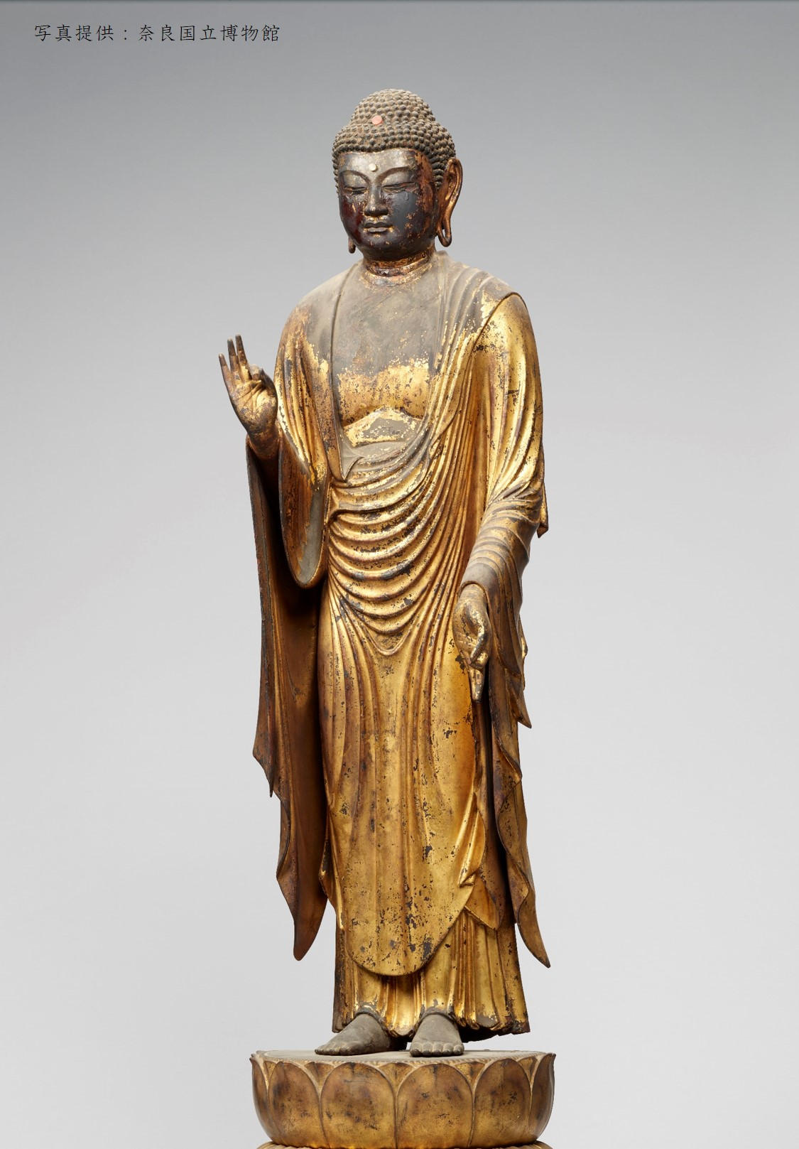 仏師・快慶晩年の作「阿弥陀如来立像」がご本尊。西方院の奈良塀修復