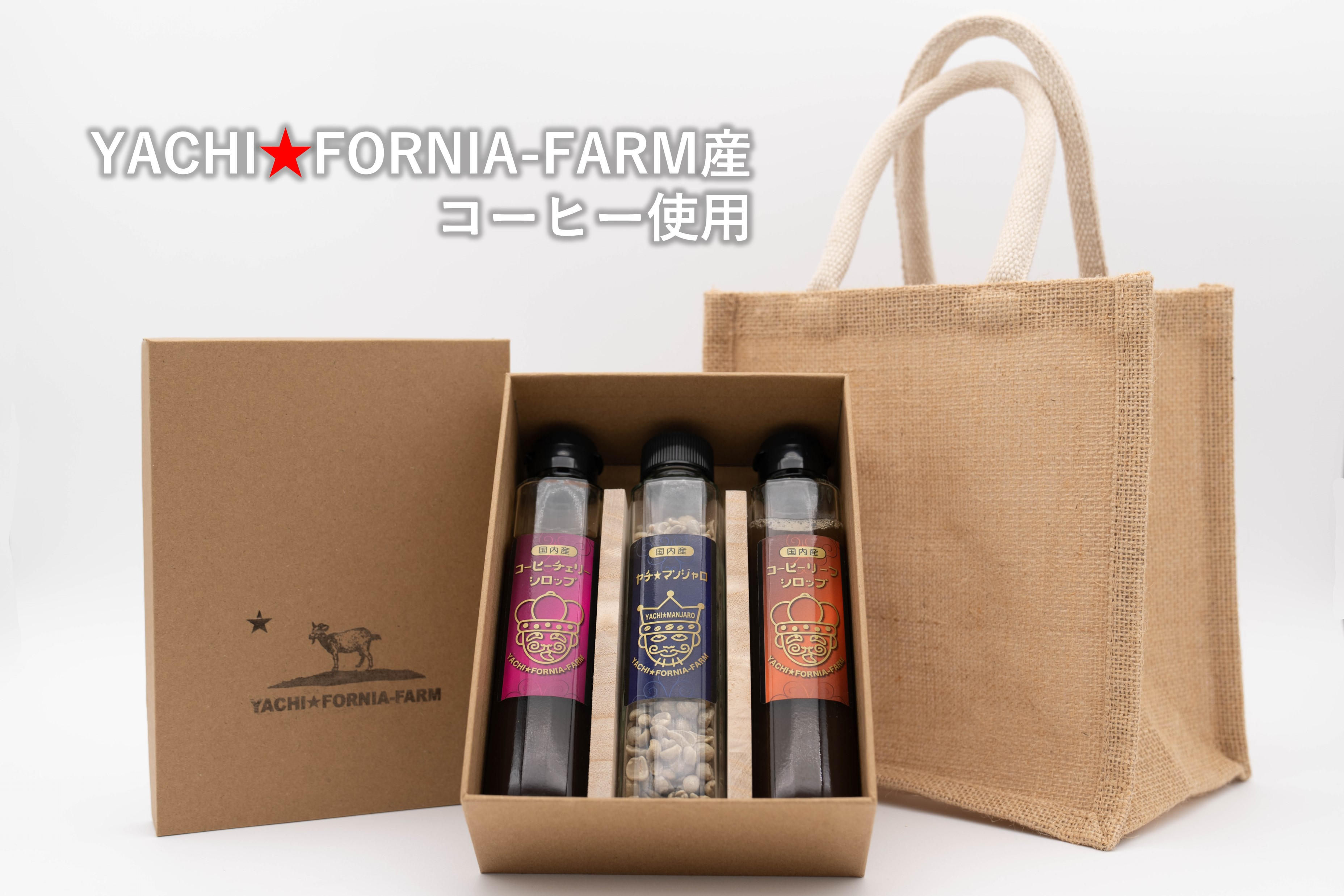 コーヒー豆入れ ヴィンテージ イタリア Baludelli コーヒー豆入れ